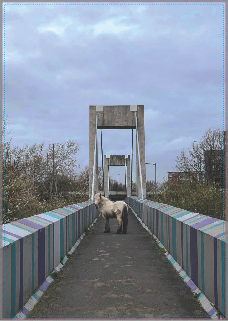 Limited Edition Artist Print, Natalie Hall